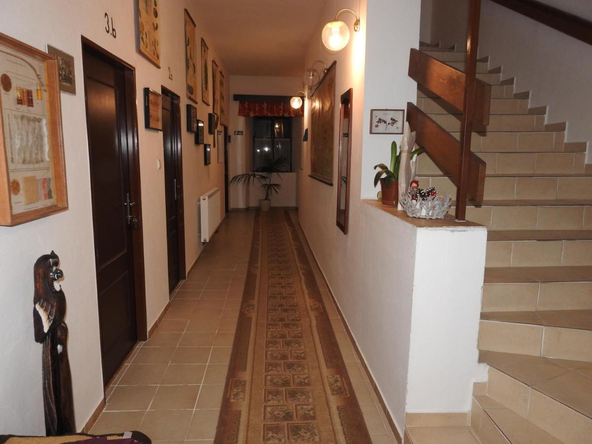 Hořice na Šumavě Hotel Stara Skola Na Sumave מראה חיצוני תמונה