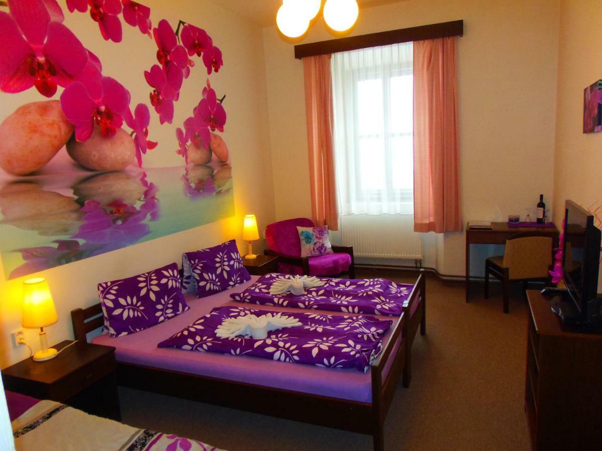 Hořice na Šumavě Hotel Stara Skola Na Sumave מראה חיצוני תמונה